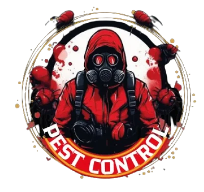 pcexpertpl.com